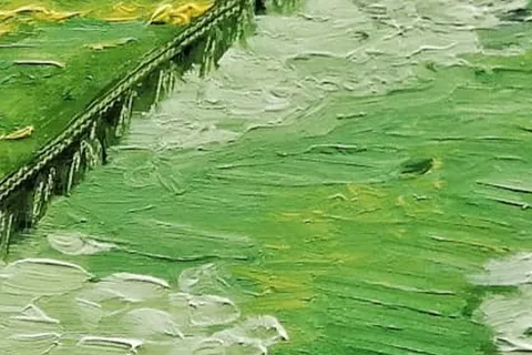 Détail — Le jardin vert de Maubuisson