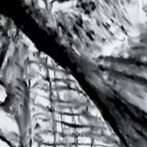 Détail — La clé du retour