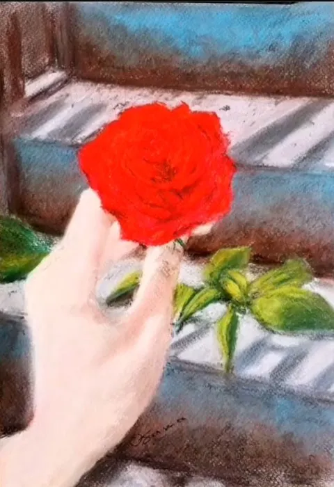 Une rose tendue