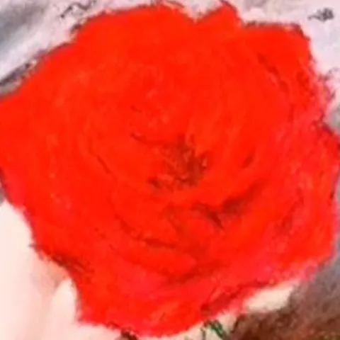 Détail — Une rose tendue