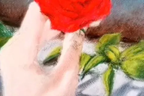 Détail — Une rose tendue