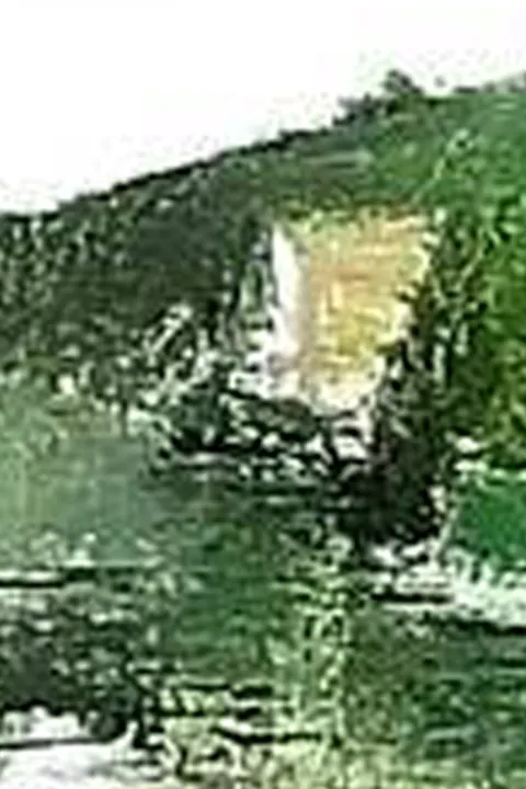 Détail — Vert silence de Vétheuil