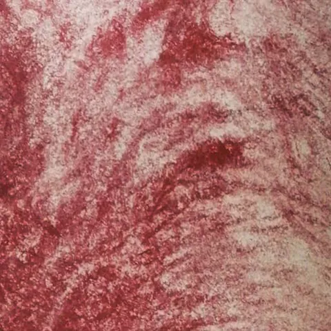 Détail — Visage de sanguine