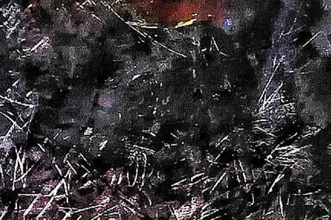 Détail — Visage enfoui dans la terre