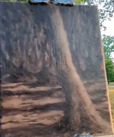 L’arbre du parc