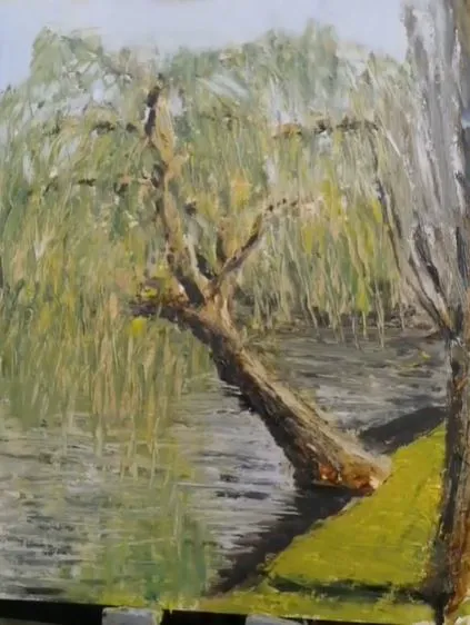Le saule qui pleure sur la rivière