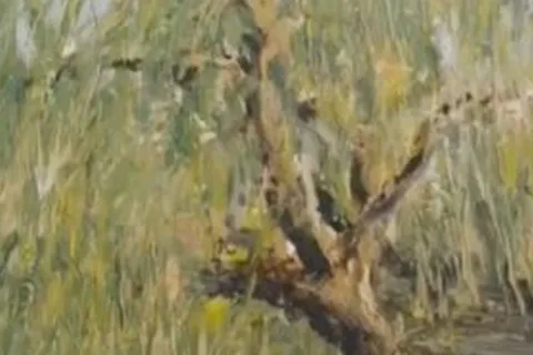 Détail — Le saule qui pleure sur la rivière