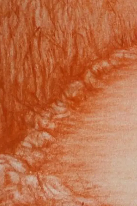 Détail — Lac au soleil de cuivre