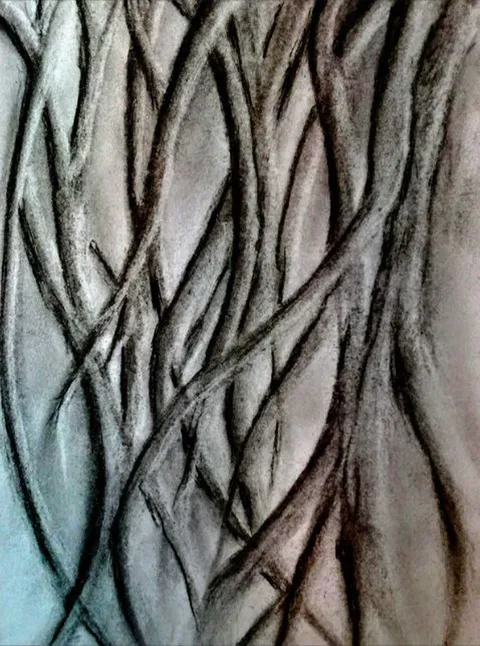 Entrelacs de branches
