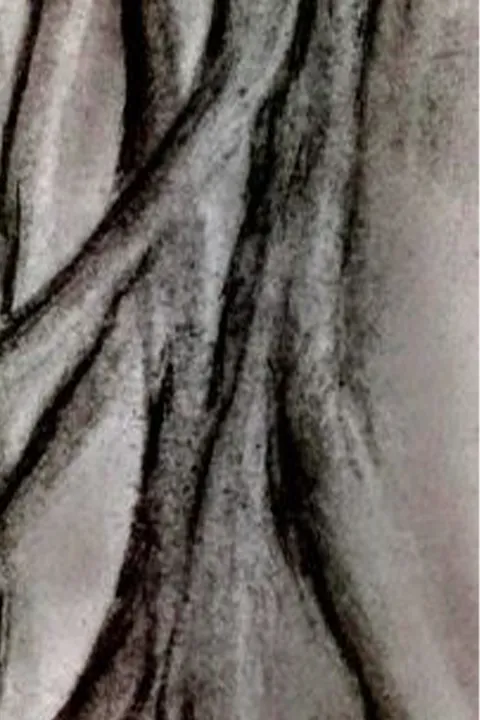 Détail — Entrelacs de branches