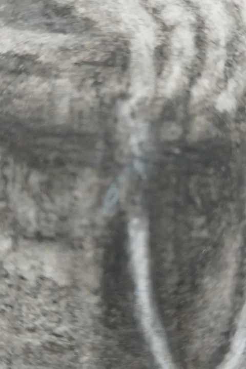 Détail — Le gardien de la porte