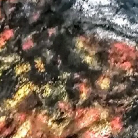 Détail — L’œil de braise