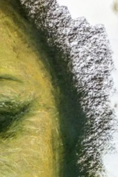 Détail — Visage de mélancolie