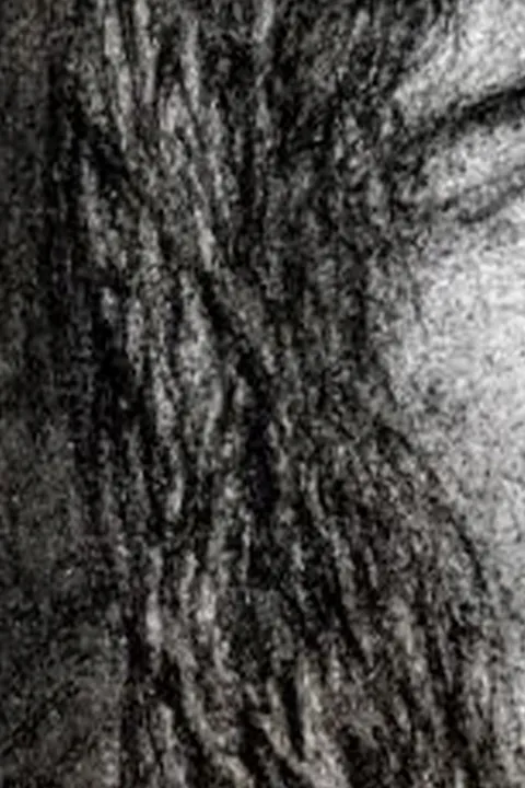 Détail — Deux visages d’une même femme