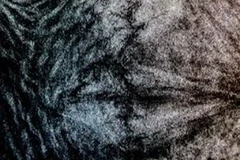 Détail — Les rides du temps