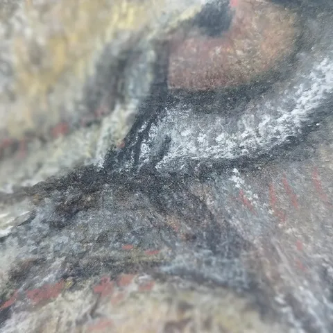 Détail — Le rugissement