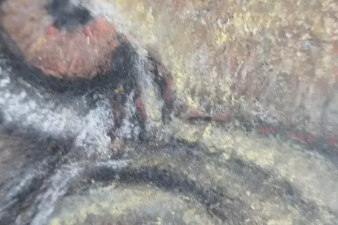 Détail — Le rugissement