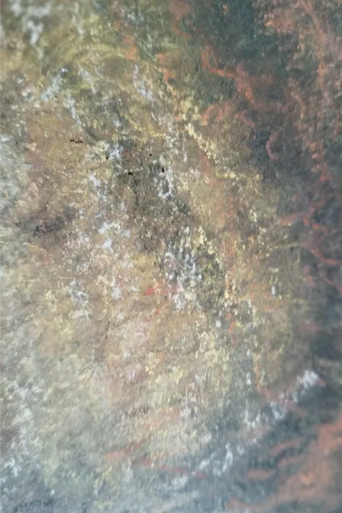 Détail — Le rugissement