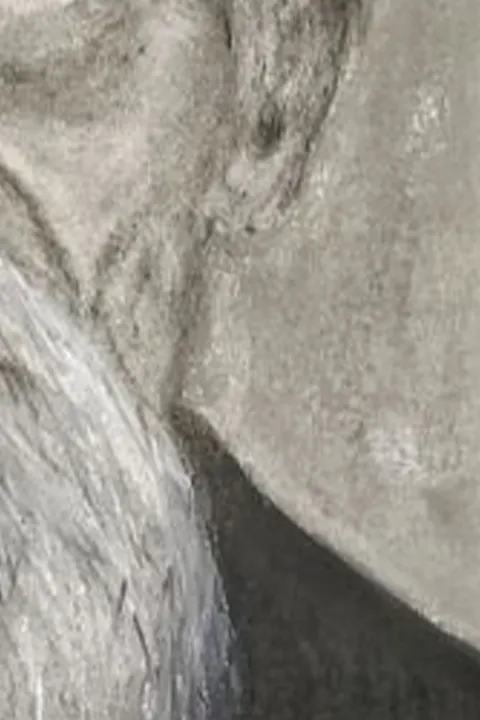 Détail — Le maître aux cheveux de neige
