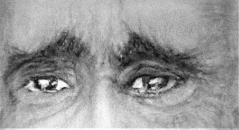 Regard las