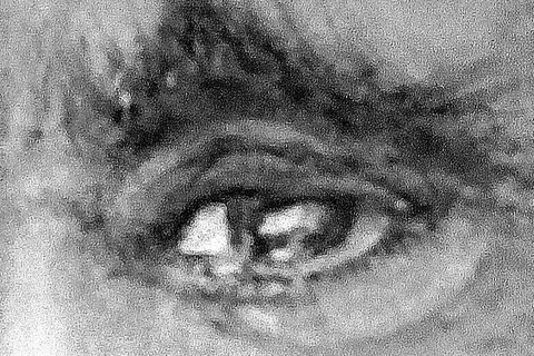 Détail — Regard las