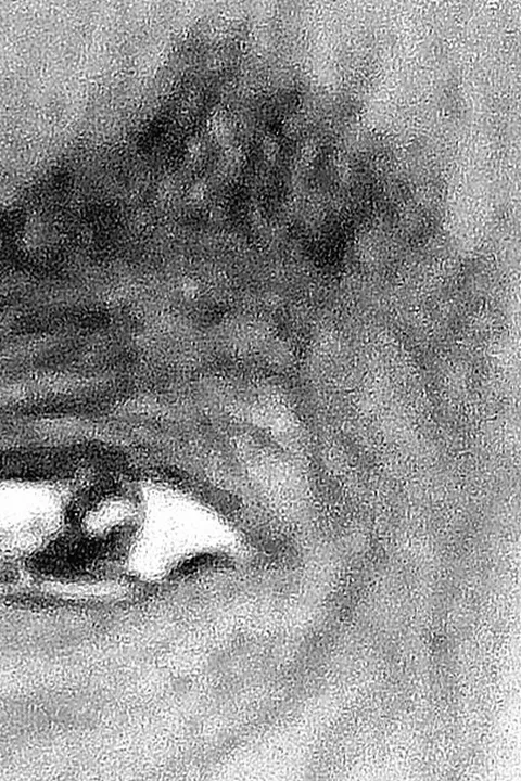 Détail — Regard las