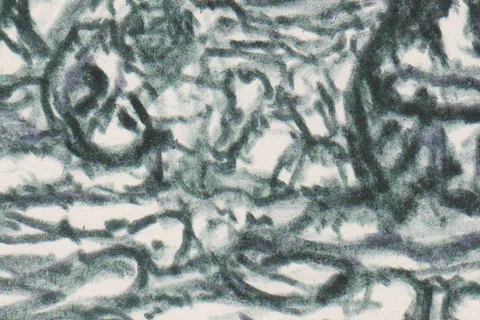 Détail — L’œil du tourment
