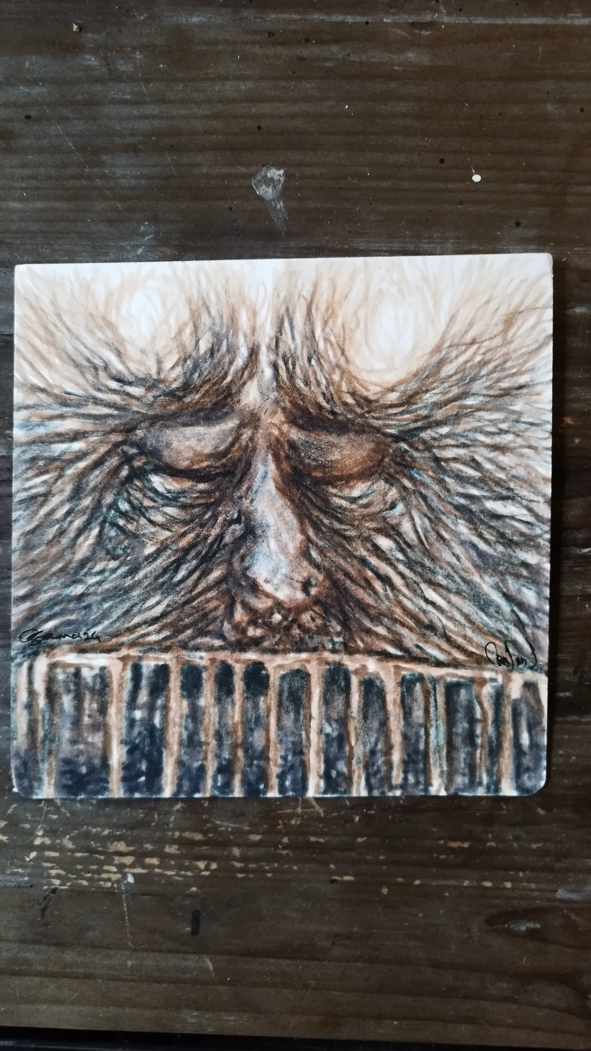 Le visage derrière la barrière