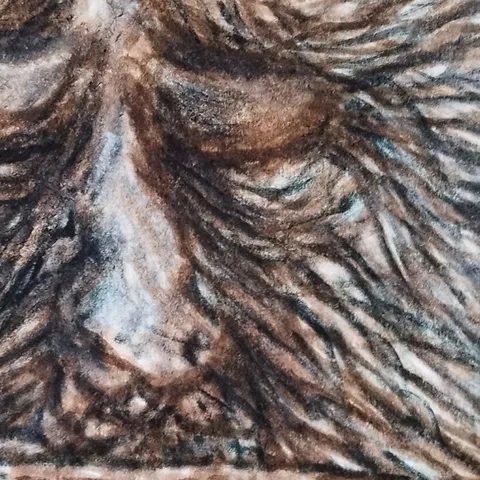 Détail — Le visage derrière la barrière