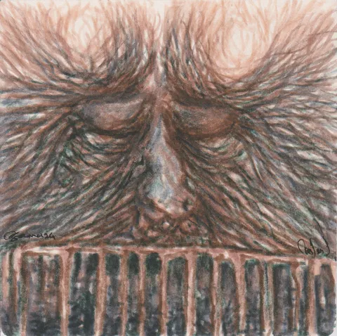 Détail — Le visage derrière la barrière
