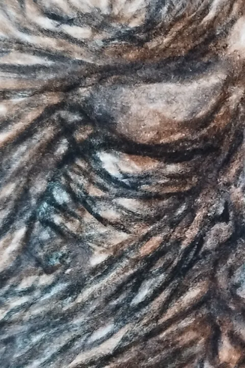 Détail — Le visage derrière la barrière