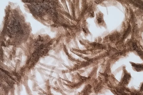 Détail — Le cri des enfants perdus