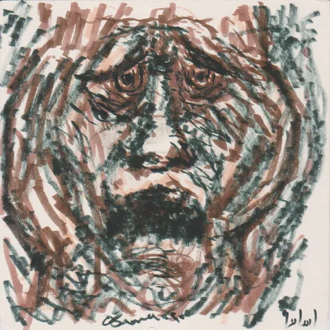 Le visage du chagrin