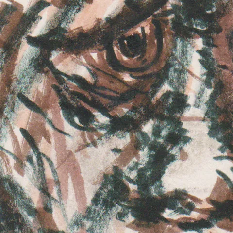 Détail — Le visage du chagrin