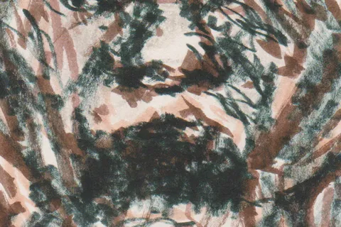 Détail — Le visage du chagrin