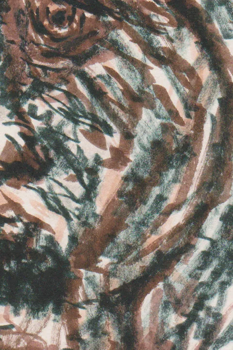 Détail — Le visage du chagrin