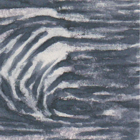 Détail — Ce qui reste sur le sable
