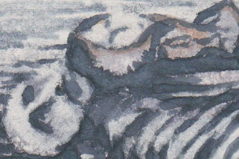 Détail — Ce qui reste sur le sable