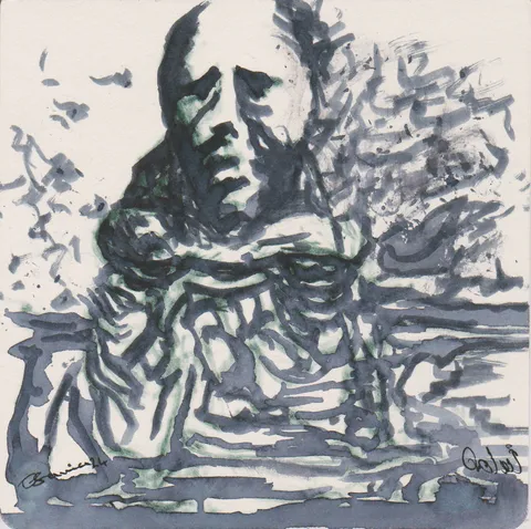 Visage dans la tourmente