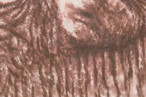 Détail — Tendresse de sanguine