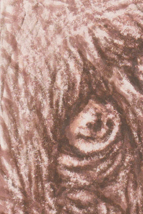 Détail — Tendresse de sanguine