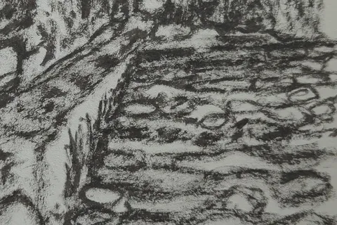 Détail — Sous la coupole, les murs tombés