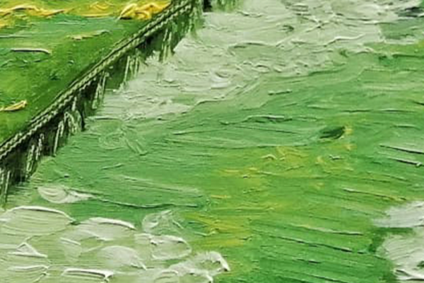 Reflections in the Green Path