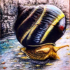 image-a-la-une-1 The Enigmatic Snail