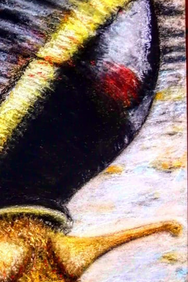 vertical-3 The Enigmatic Snail